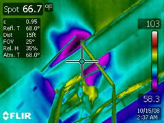 FLIR Leak Detection 1